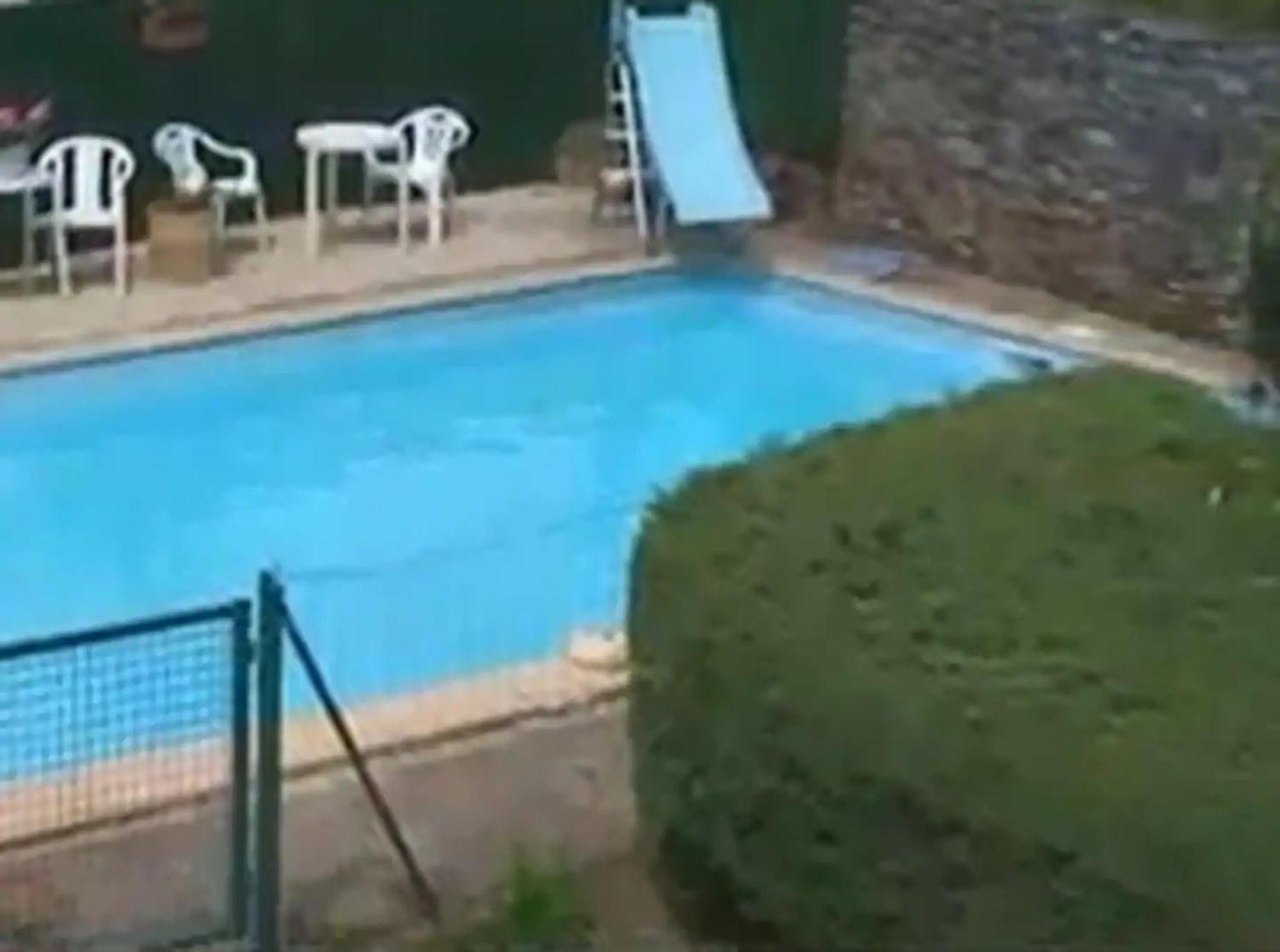 Apartment L'avocette